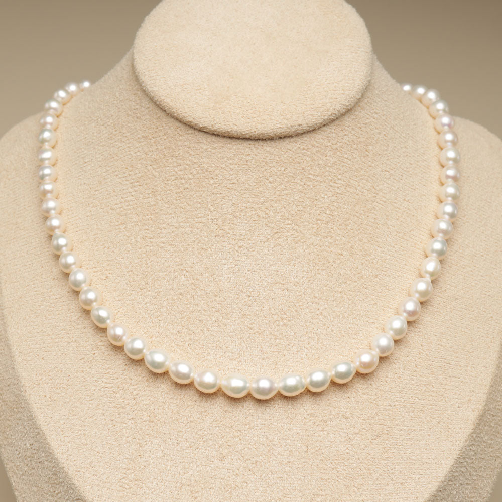 Ratnavali Jewels White SEA Shell Round Pearl String Beads for Women/Girls :  Amazon.in: Fashion