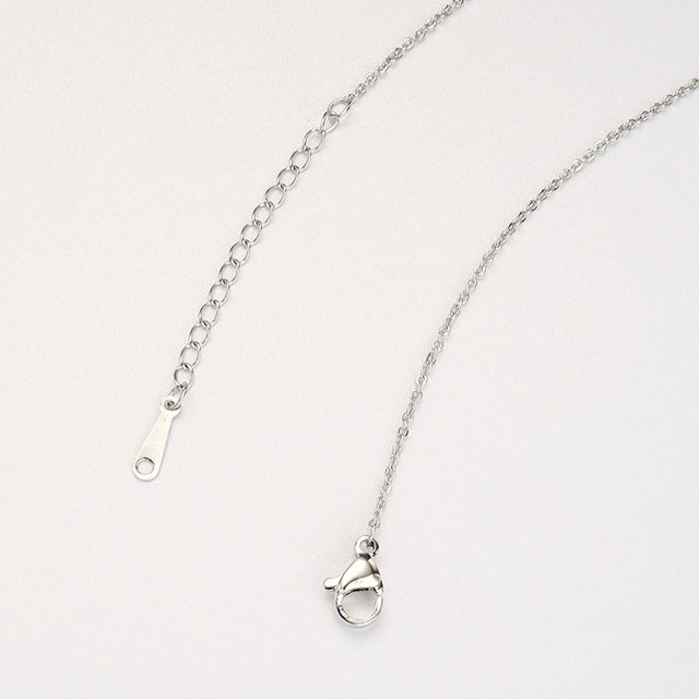 A silver pendant adjustable clasp.