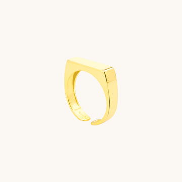 Gold open ring.