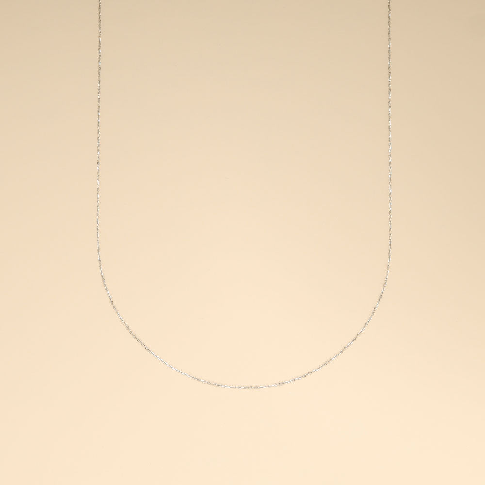 A thin white gold chain.